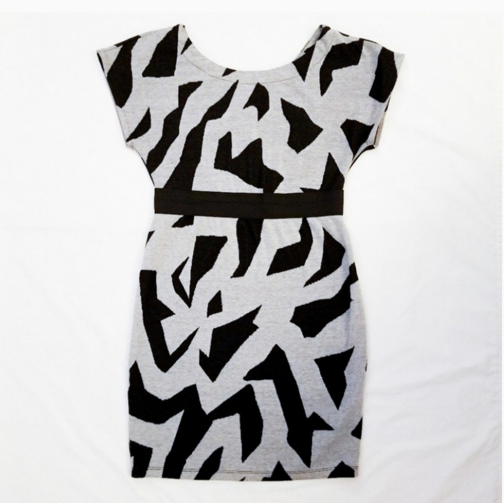 LAST CHANCE Forever 21 Gray Black Mini Dress Tunic